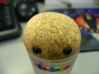 grasshead in cup