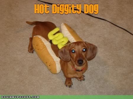 hotdog.jpg