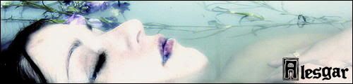 Imagen enviada