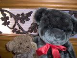 some of my stuffies