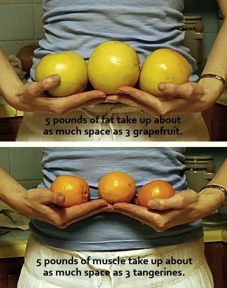 5-pounds-of-muscle-take-up-about-as-much-space-as-3-tangerines.jpg