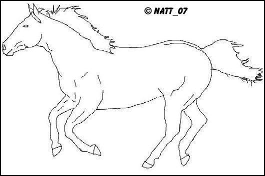 quarter horse coloring pages - photo #10