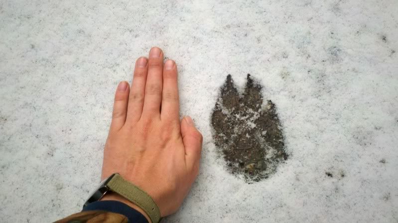 2012-12-03_13-14-31_544.jpg
