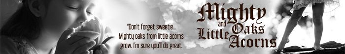 The-Banner