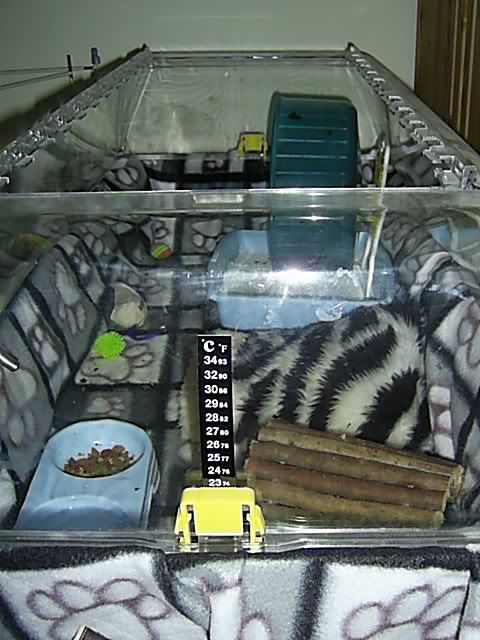 Hedgehog+Enclosures Hedgehog Enclosures http://www.reptileforums.co.uk/forums/other-pets ...