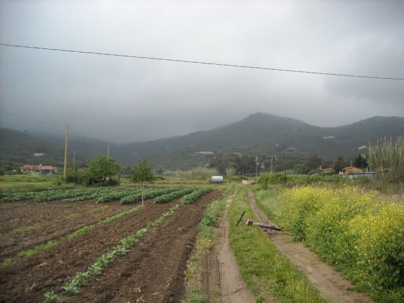 DSCN0303.jpg