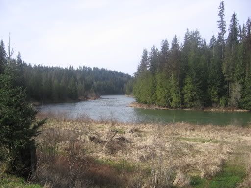 Any interest in Northwestern homesteading? - Homesteading Questions