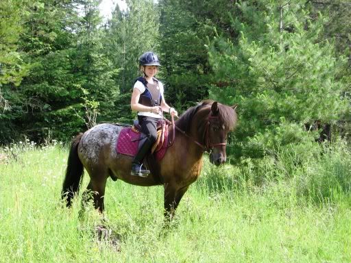 'rental' horse for 'rental' son - Countryside Families