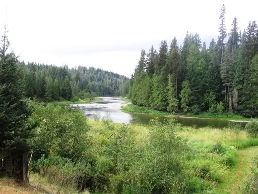 Let's see some pictures of your place... - Homesteading Questions