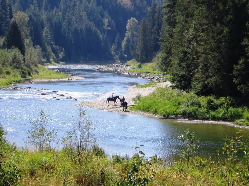 Let's see some pictures of your place... - Homesteading Questions