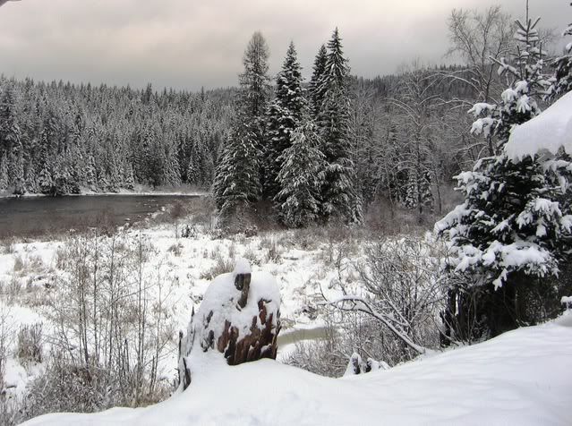 Snowy Pics..I can't help myself! - Homesteading Questions