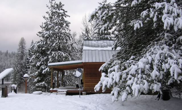 Snowy Pics..I can't help myself! - Homesteading Questions