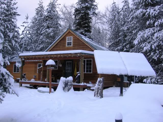 Snowy Pics..I can't help myself! - Homesteading Questions