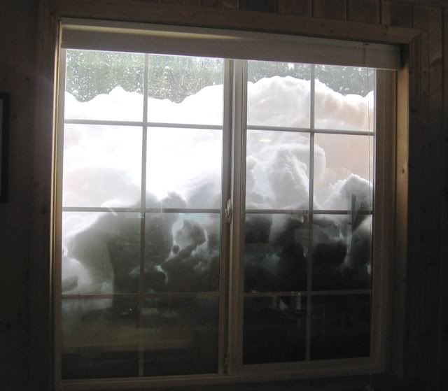 Lisa in North Idaho - Homesteading Questions