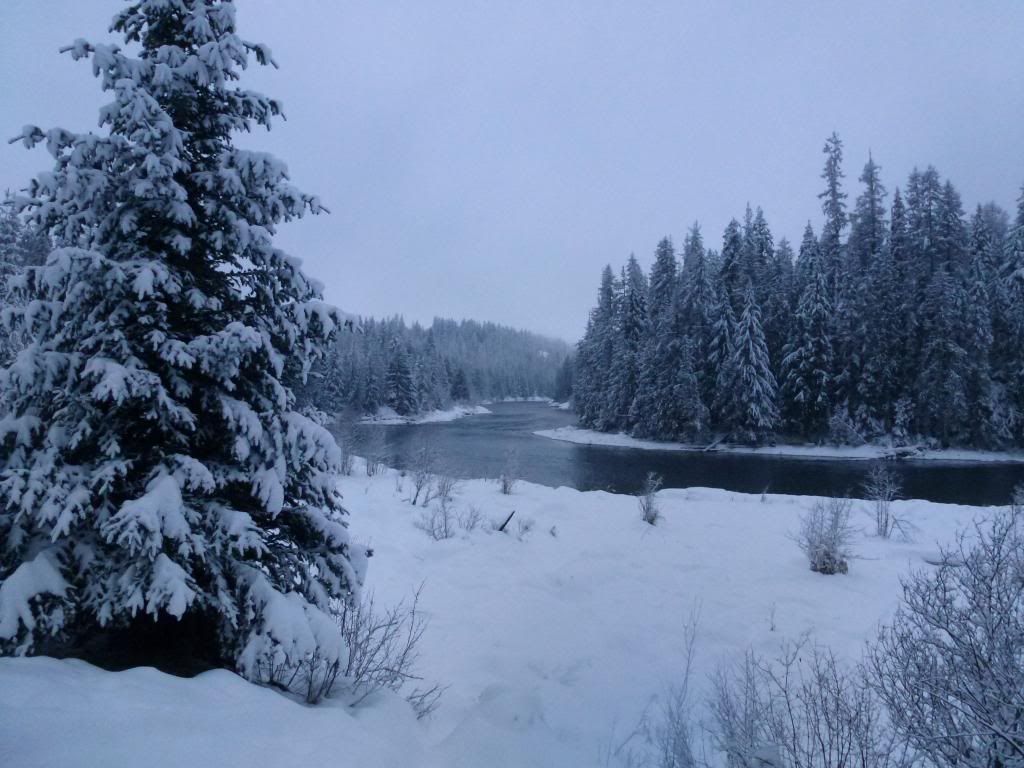 Looking to move to WA. Guidance needed. - Homesteading Questions