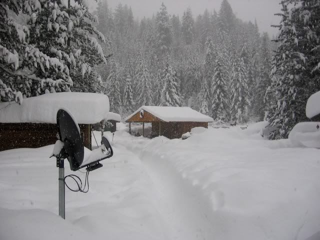 Metal roofs - Homesteading Questions