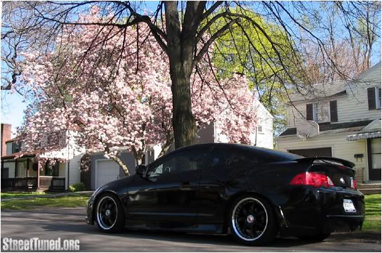 http://i2.photobucket.com/albums/y4/mmg0310/CarPics/meagan_pink_tree.jpg