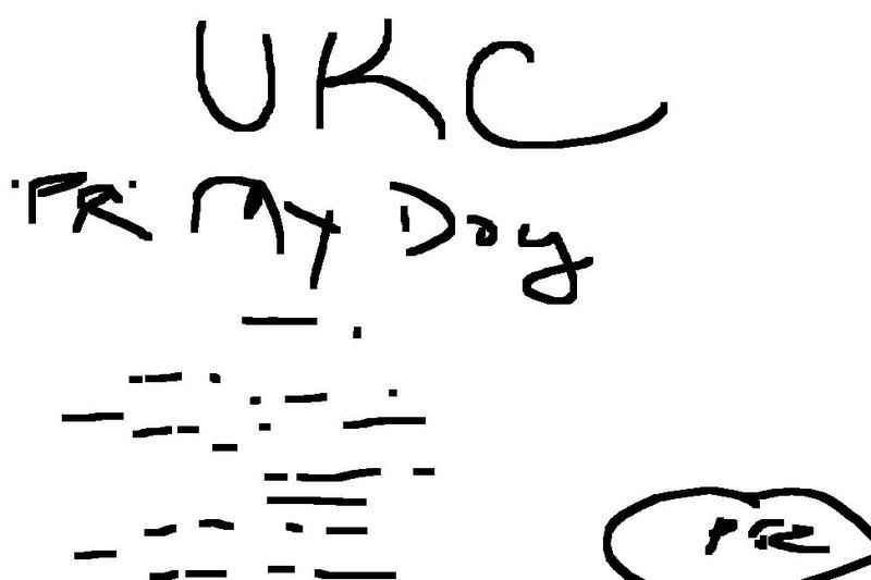 UKC Forums - New Ukc Papers