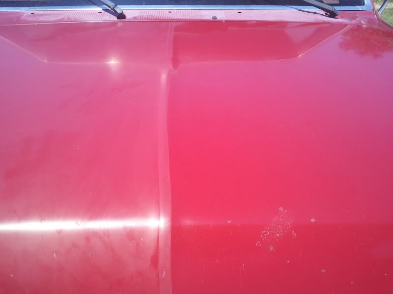 2011-03-16145414.jpg
