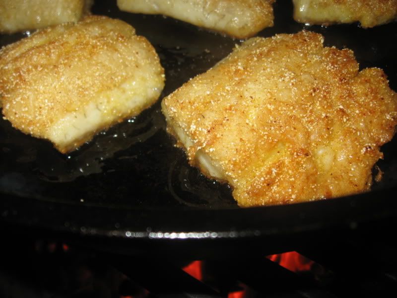 BGECanadianWalleye0002.jpg