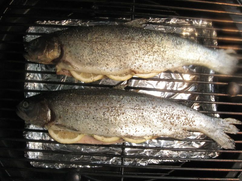 BGEHotSmokedTrout0001.jpg