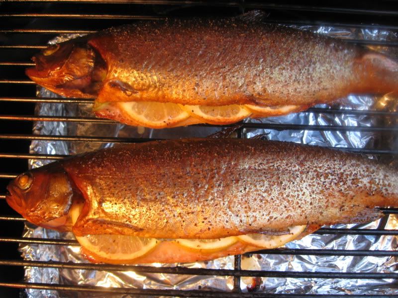 BGEHotSmokedTrout0009.jpg