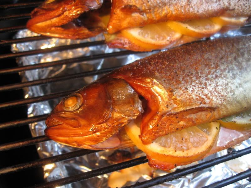 BGEHotSmokedTrout0011.jpg