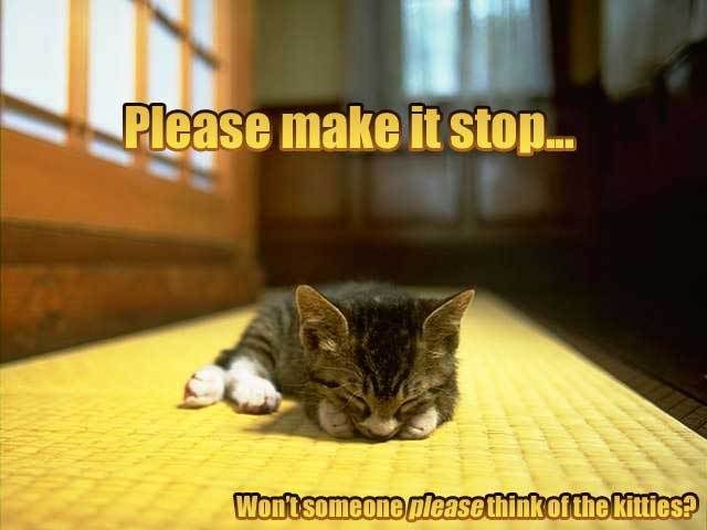Stop-Kitten.jpg