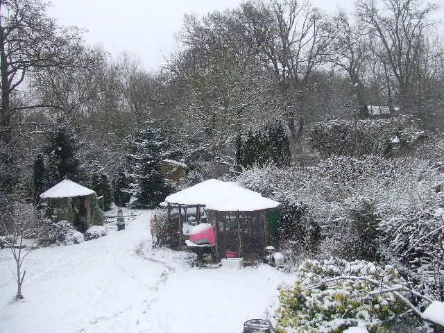 Snow-Feb09.jpg