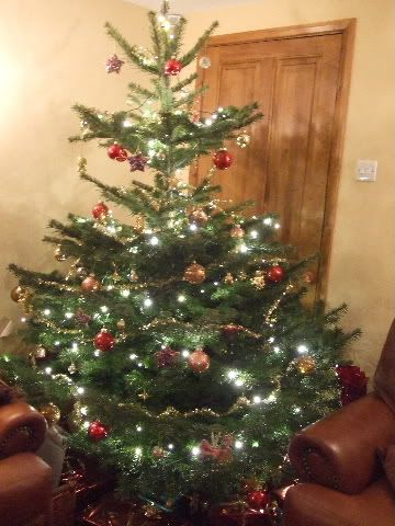 Tree2008.jpg