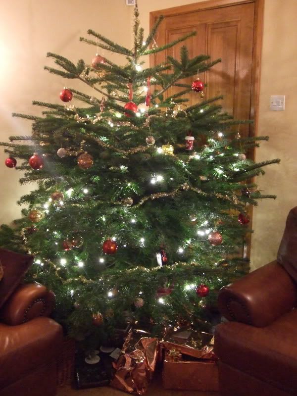 Tree2009.jpg