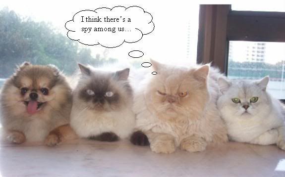 Spy Among Us