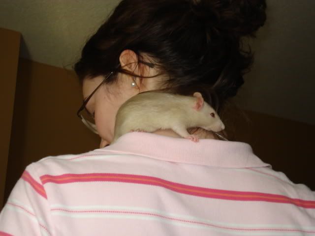 Miles &amp; Allan say Hello (Rat pics!)