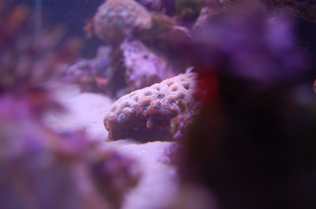 Brain feb18 06 - some pics to share