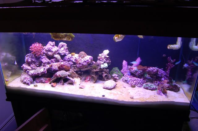 Fulltankshot feb18 06 - some pics to share