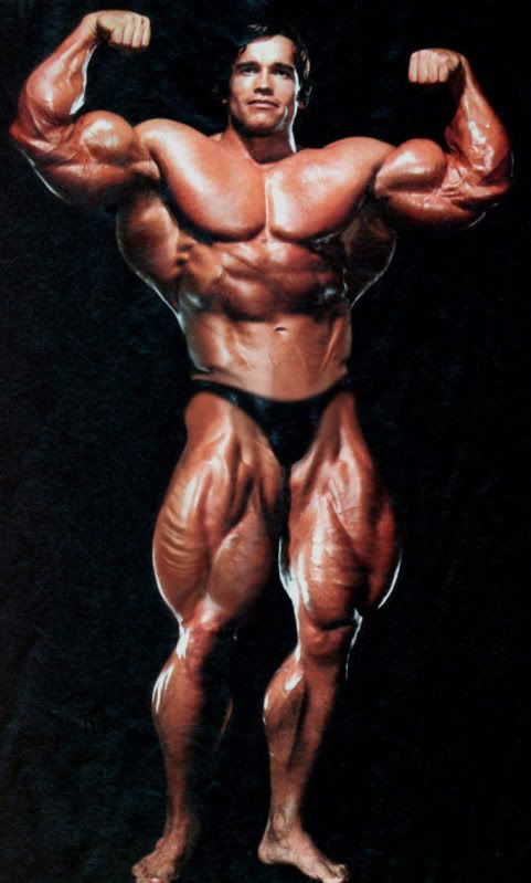 arnold schwarzenegger bodybuilding posters. Arnold-Schwarzenegger