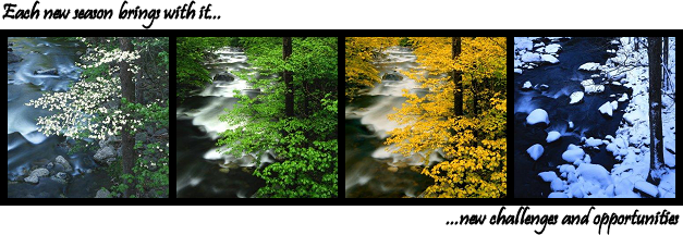 a wolfcolourmoon creation a wolfcolourmoon creation