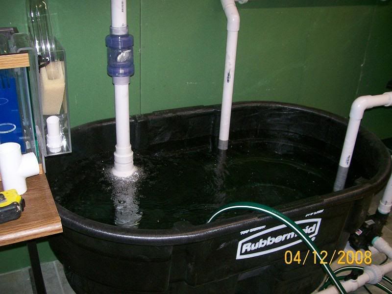 Rubbermaid stock tank for sump? Anyone using? Reef Sanctuary