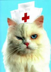 CommentYou.com is your One Stop Shop