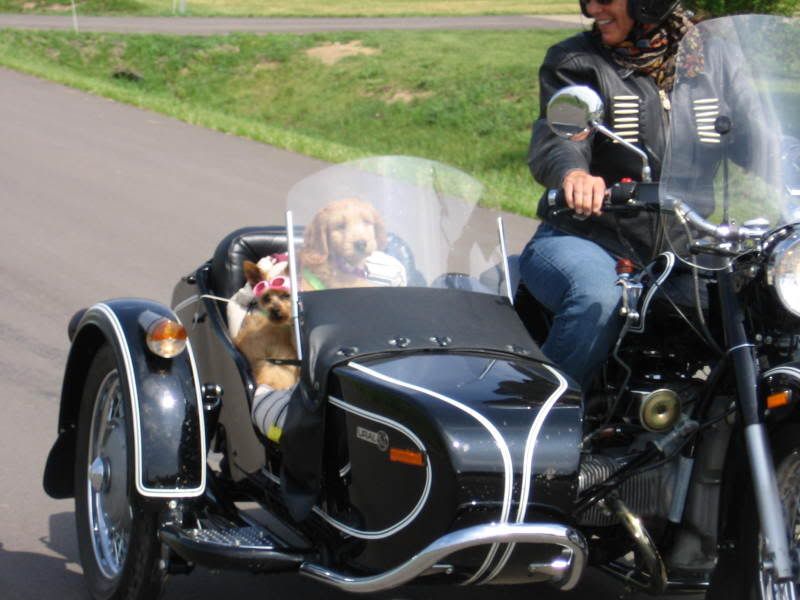 Photo Sharing and Video Hosting at Photobucket