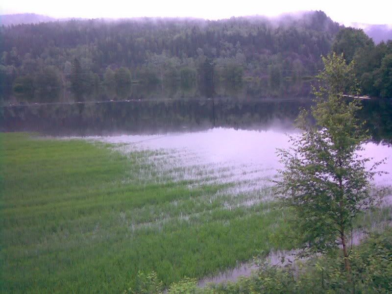 04072007006.jpg?t=1186725088