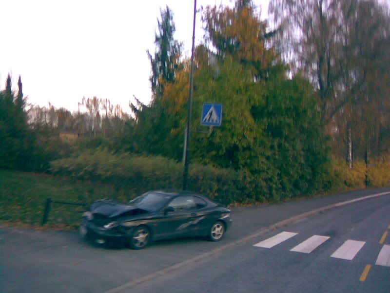 09102007011.jpg?t=1192010802