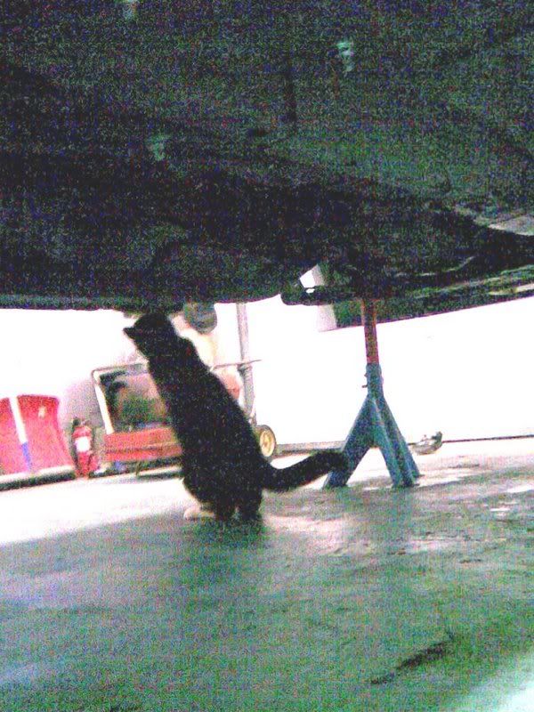 12042007009.jpg?t=1176409517