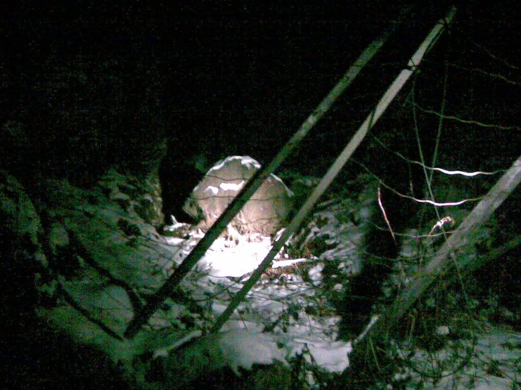 14112007002.jpg?t=1195215317