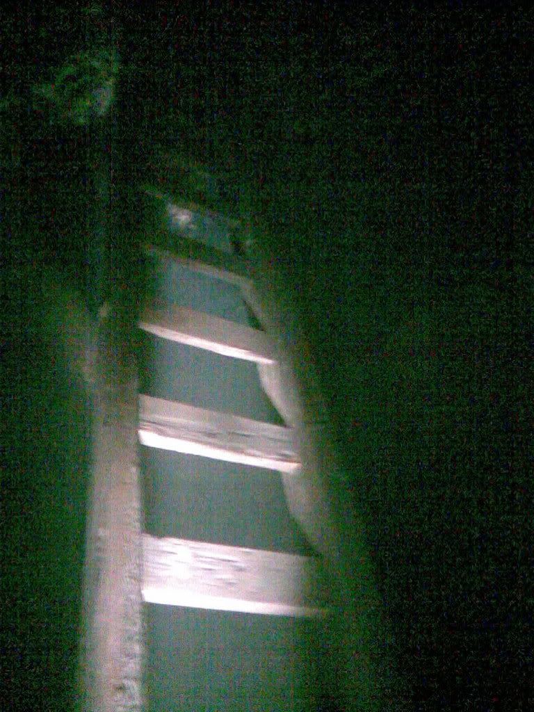 14112007009-1.jpg?t=1195215069