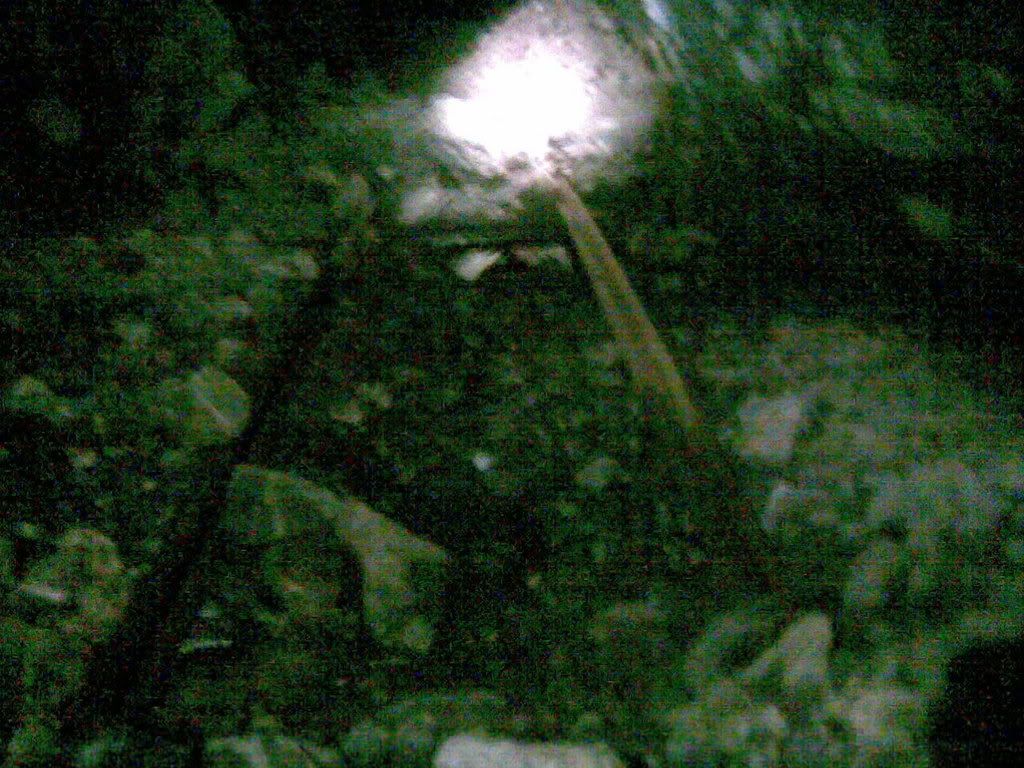 14112007012.jpg?t=1195214953