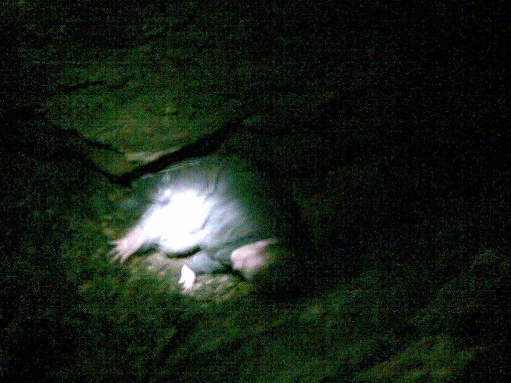 14112007014.jpg?t=1195214881