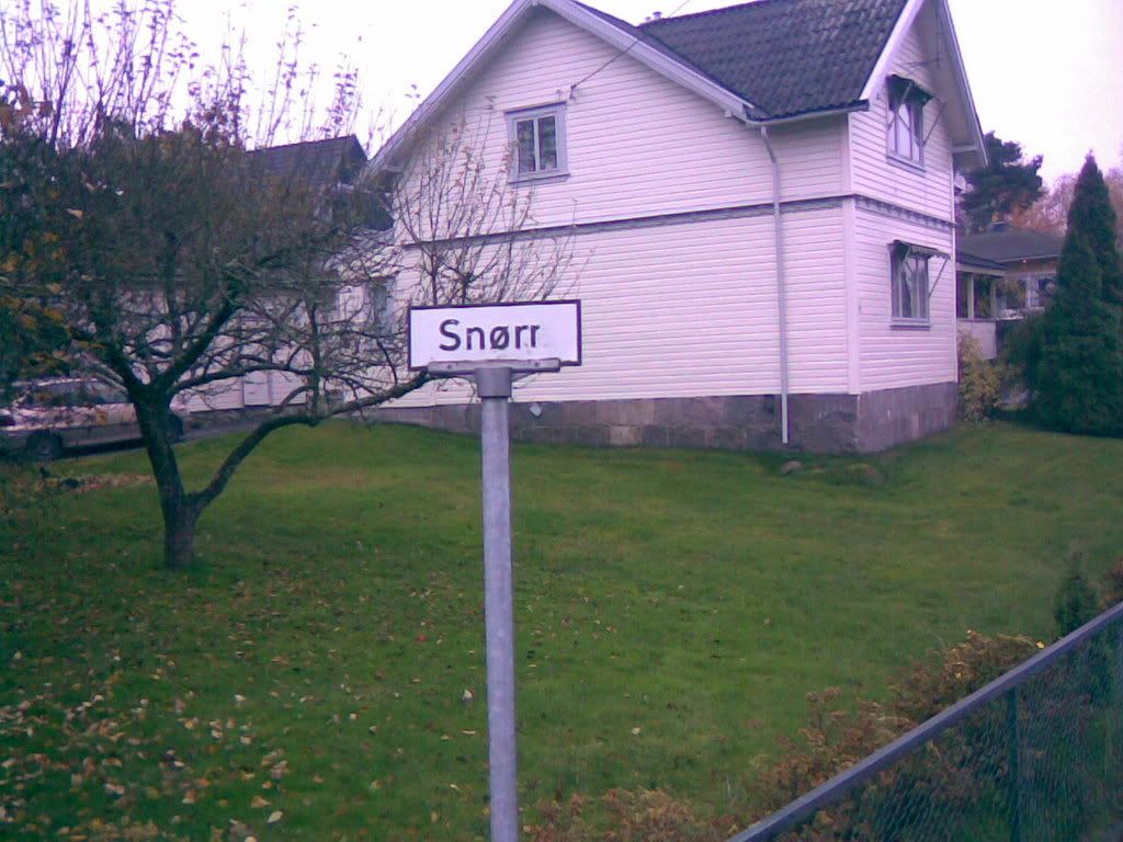 27102007.jpg?t=1193496922