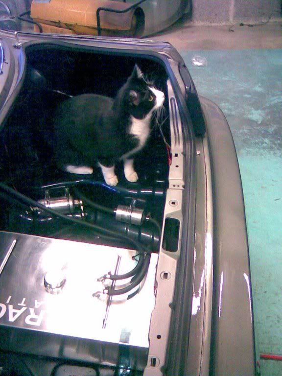 15052007001.jpg?t=1179248416