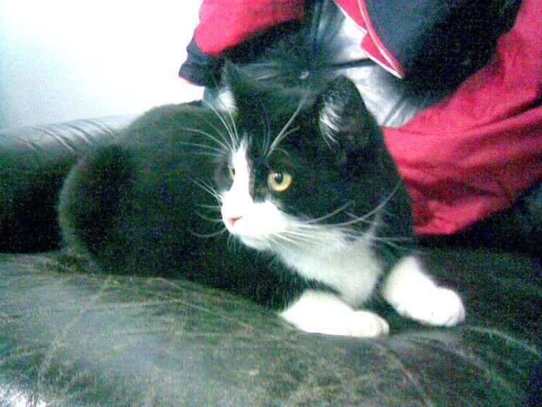 15052007005.jpg?t=1179248419